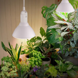 Strömsö Kasvilamppu 15W led-lamppu