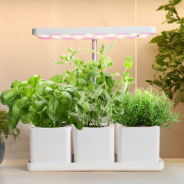 Strömsö yrttivalaisin ruukulla